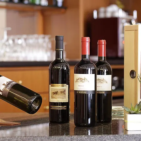 Executive Meeting & Events מלון אודינה